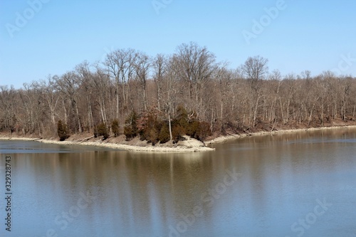 A peaceful view of the lake in the woods on a sunny day.