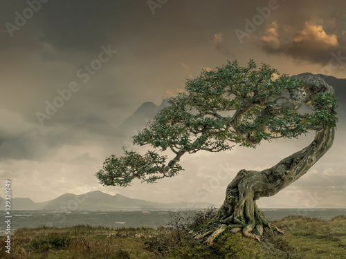 Fantasy landscape with sea  hills  mountains  and a very special tree in warm colored surroundings