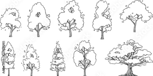 hand drawn vector set of trees