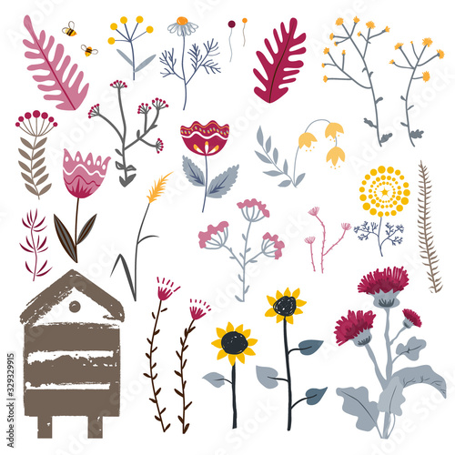 Meadow herbs isolated on white, vector collection. Doodle plants set