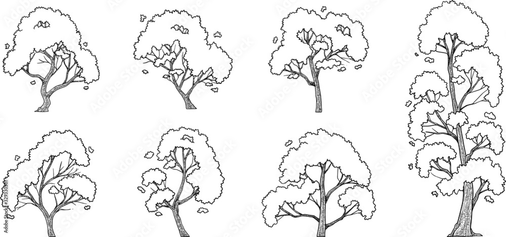 hand drawn vector set of trees