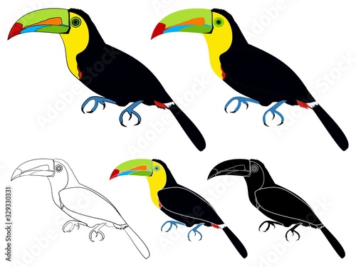 keel billed toucans bird colored