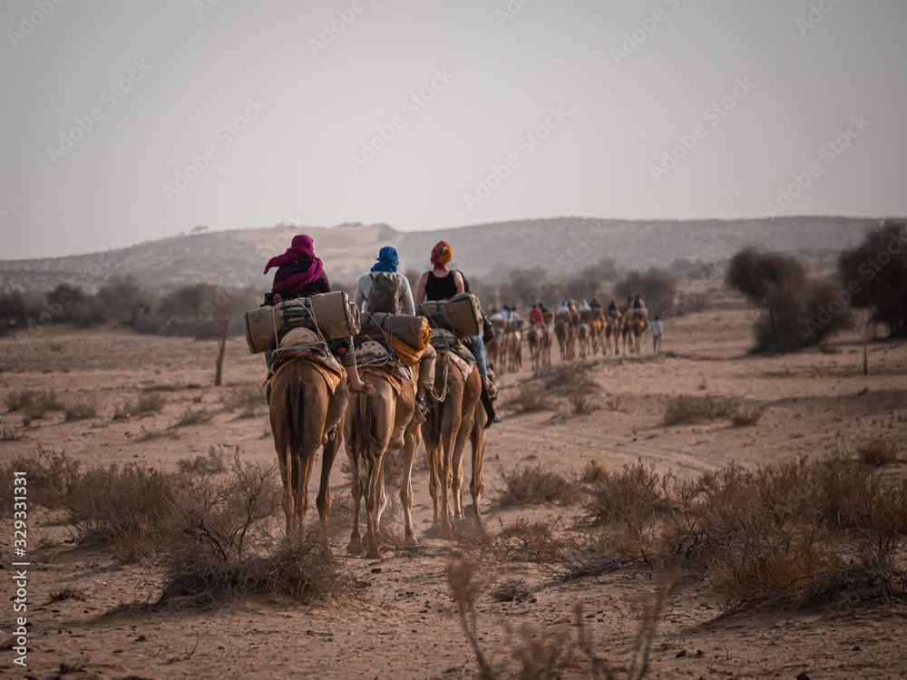 Camels in the middle of a desert with backpacker 