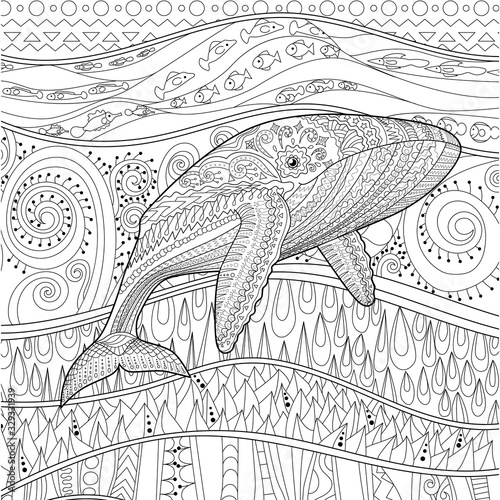 Coloring pages for adult with blue whale