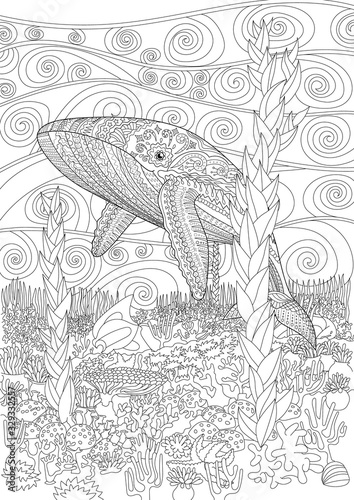 Coloring pages for adult with blue whale