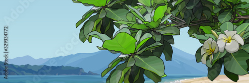 tree branch with frangipani flowers on a background of sea and mountains