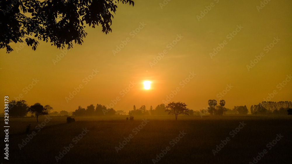 The morning sunrise and the golden fields