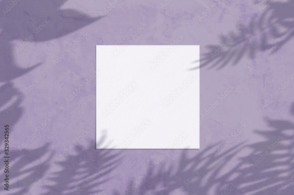 Summer modern sunlight stationery mockup scene. Flat lay top view blank greeting card with palm leaf and branches shadow overlay on grunge violet background. Summer modern sunlight stationery mockup scene. Flat lay top view blank greeting card with palm leaf and branches shadow overlay on grunge violet background.