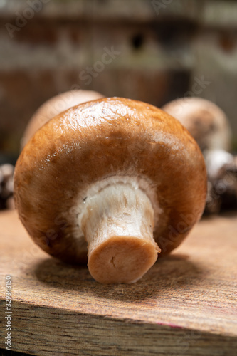 Cave brown champignon mushrooms ready to eat photo