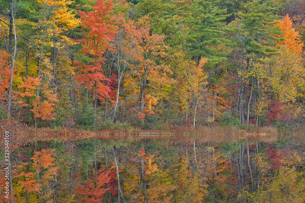 Autumn landscape of Long Lake with mirrored reflections in calm water, Yankee Springs State Park, Michigan, USA Autumn landscape of Long Lake with mirrored reflections in calm water, Yankee Springs State Park, Michigan, USA