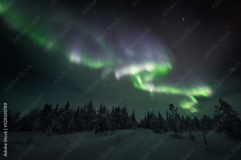 Strong aurora swirls above a snowy forest
