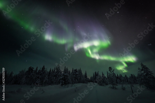 Strong aurora swirls above a snowy forest