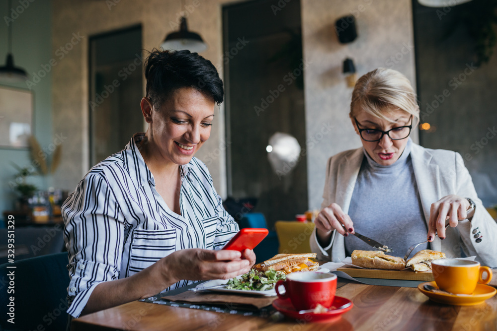mid aged women using mobile phone while having lunch break with her friend mid aged women using mobile phone while having lunch break with her friend