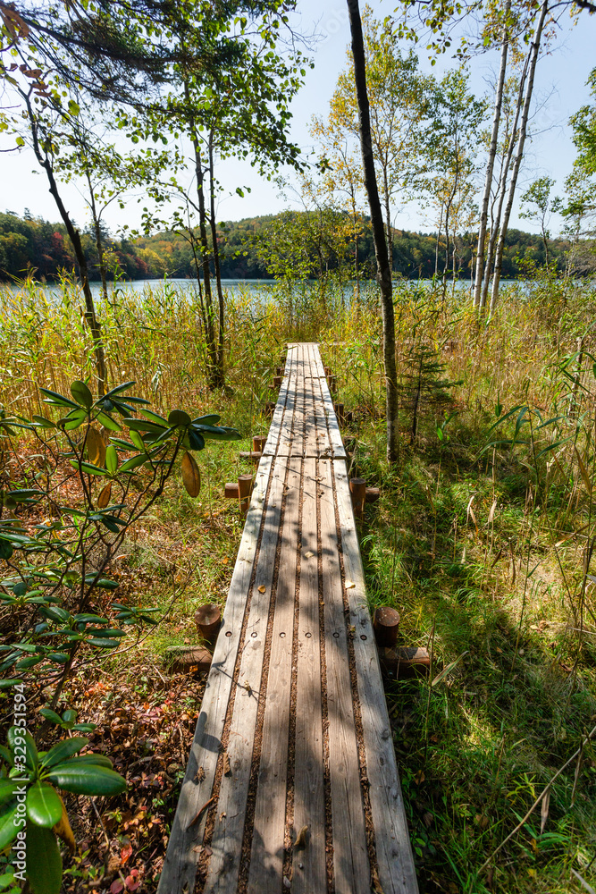 Obraz premium 日本・北海道東部の国立公園、オンネトーの散策路