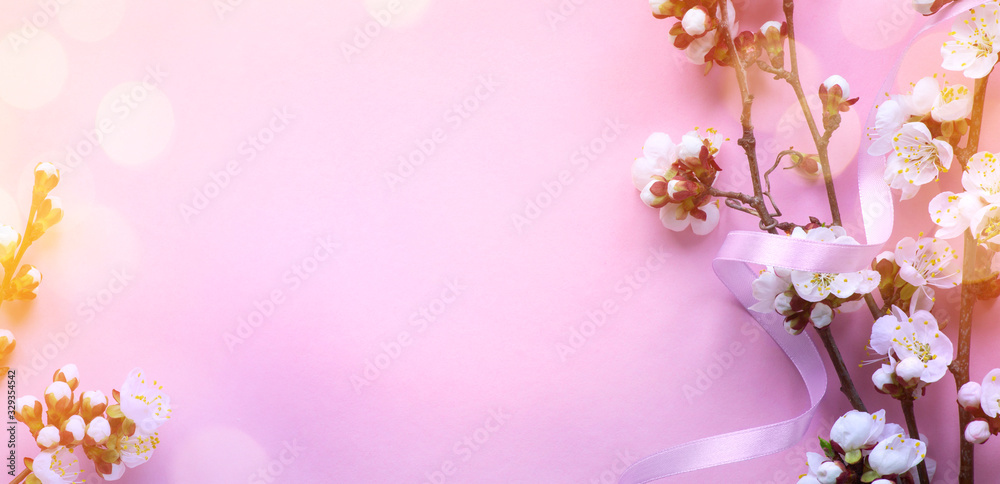 Amazing spring blossom banner background;  Beautiful cherry tree tender flowers on pink background. Top view, flat lay with copy space.