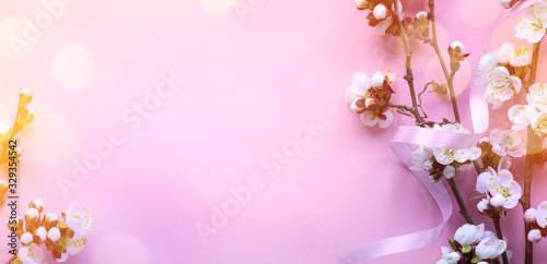 Amazing spring blossom banner background; Beautiful cherry tree tender flowers on pink background. Top view, flat lay with copy space.