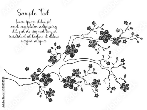 Sakura cherry blossoms with text. Cherry flower blossom branch, peach bloom, sakura branch. Blooming Asian nature. Vector illustration.