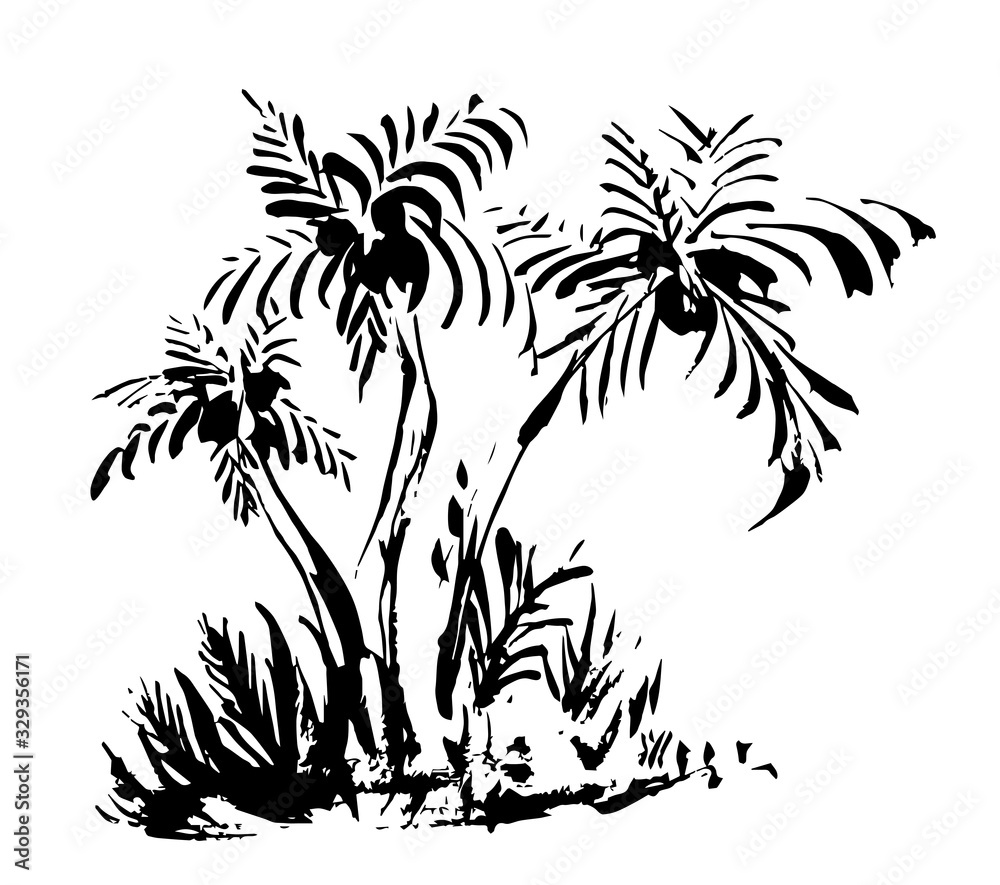 Coconut palm trees. Hand drawn. ink sketch. Black and white illustration