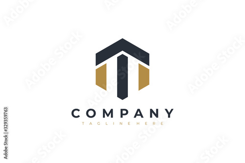 Black Gold Hexagonal Letter T and M Logo. Usable for Business, Real Estate, Architecture, Construction and Building Logo. Flat Vector Logo Design Template Element.