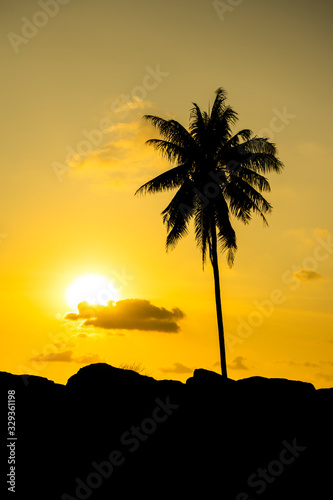 Silhouette of coconut tree with sun and sky background.