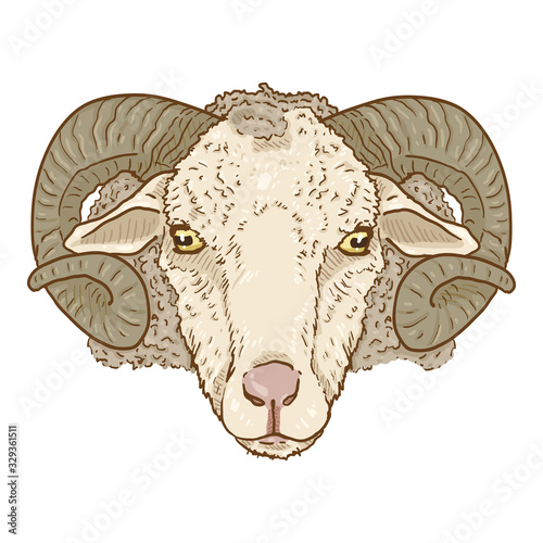 Vector Cartoon Ram Head Illustration.