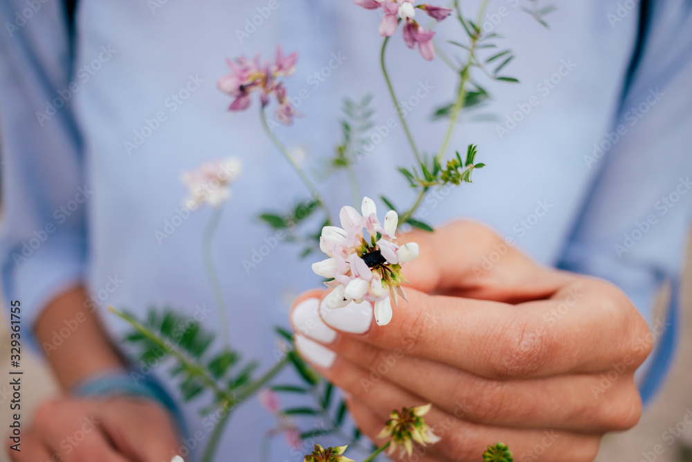 Wild pink flower in woman hands with white manicure Wild pink flower in woman hands with white manicure