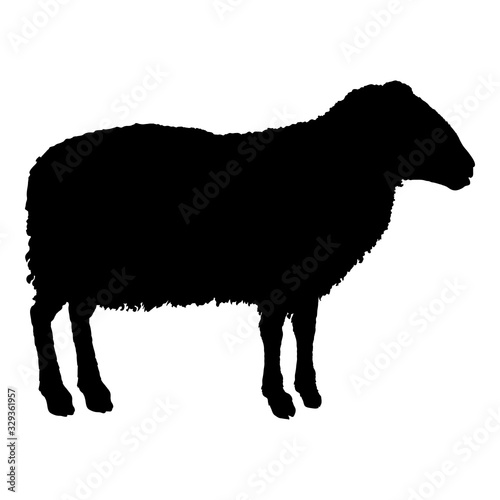 Vector Sheep Black Silhouette Illustration
