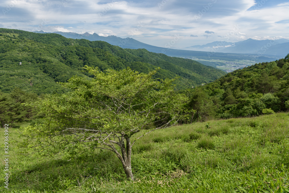 Fototapeta premium 車山高原の絶景
