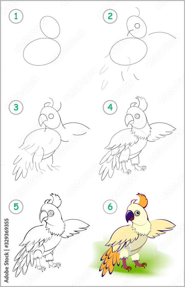 How to draw step by step cute little parrot. Educational page for kids.  Back to school. Developing children skills for drawing and coloring.  Printable worksheet for baby book. Vector cartoon image. Stock