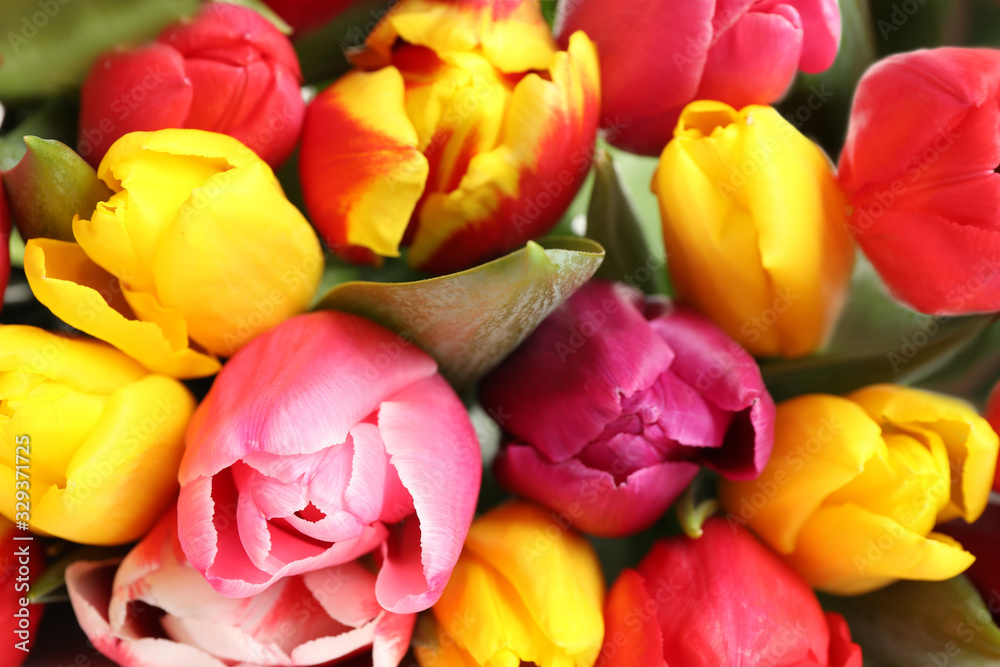 Closeup view of beautiful bright spring tulips Closeup view of beautiful bright spring tulips