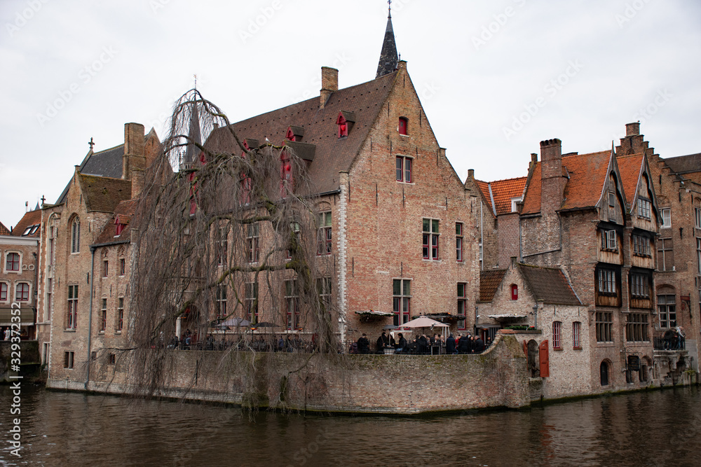 Willow tree on the canal in Bruges. 