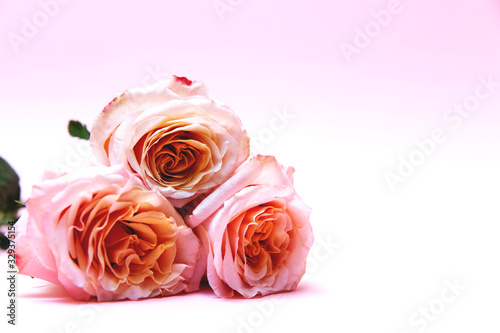 Three pink rose flowers are lying on a table.