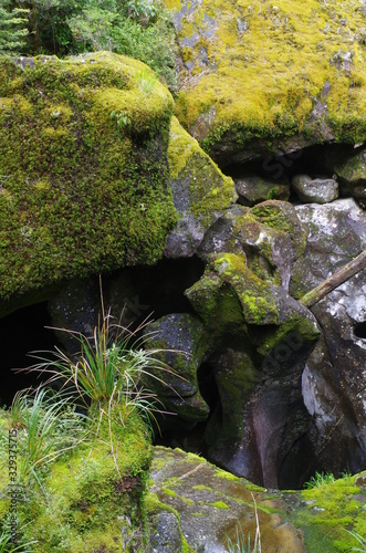 Fjordland Milford Sound Neuseeland Südinsel
