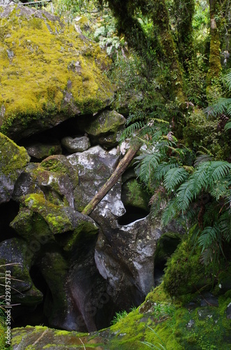 Fjordland Milford Sound Neuseeland Südinsel