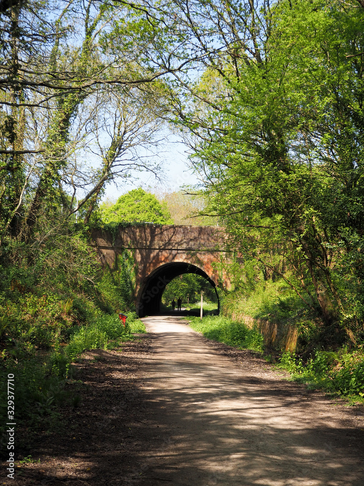  old railway tunnel on a cycle path in the Spring