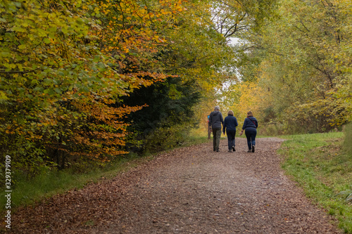 three people taking a walk in the countryside win autumn