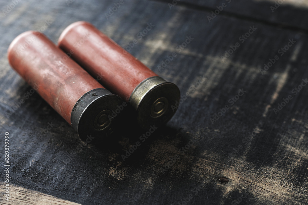 Obraz premium Old 12 gauge shotgun shells on wood table