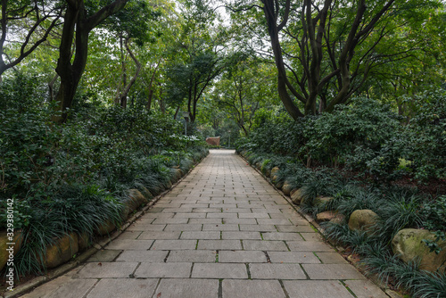 Subtropical park path with trees