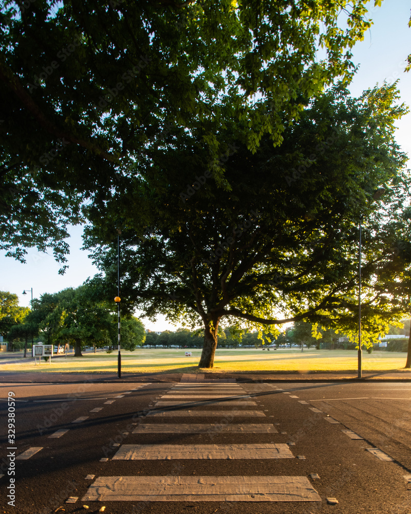 Fototapeta premium a zebra crossing on an english road