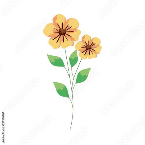 cute flower with branch and leafs vector illustration design