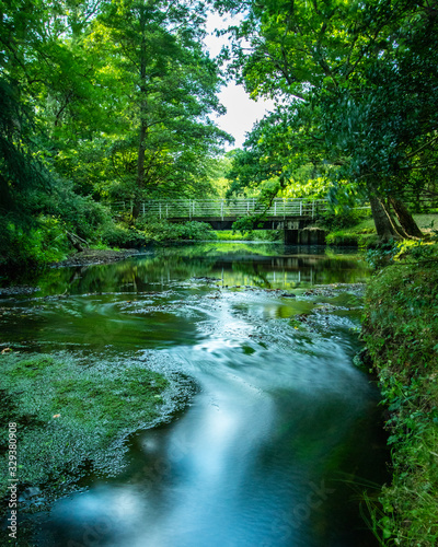 a flowing river with a bridge over it surrounded by green trees