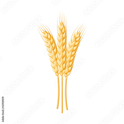 Wheat spike ear. Vector illustration cartoon flat icon isolated on white.