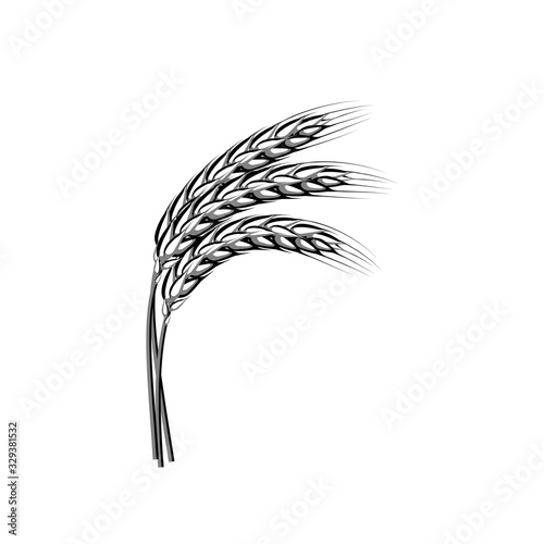 Wheat spike ear. Vector illustration cartoon flat icon isolated on white.