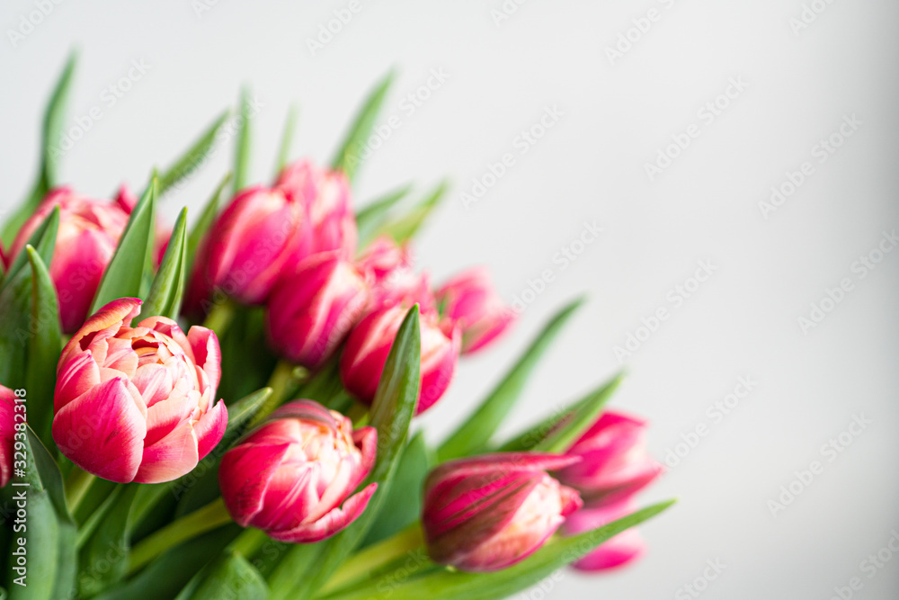 Spring flowers banner - bunch of rose tulips flowers on white, grey background. Easter day mock up greeting card. Congratulation or Invitation card with free space for text. 