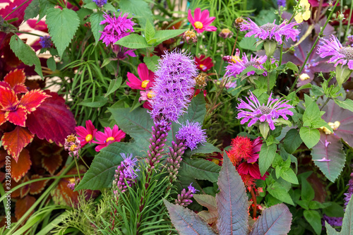 Flowers and plants blooming in the garden.