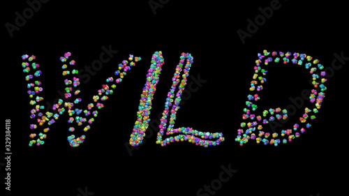 Colorful 3D writting of WILD text with small objects over a dark background and matching shadow