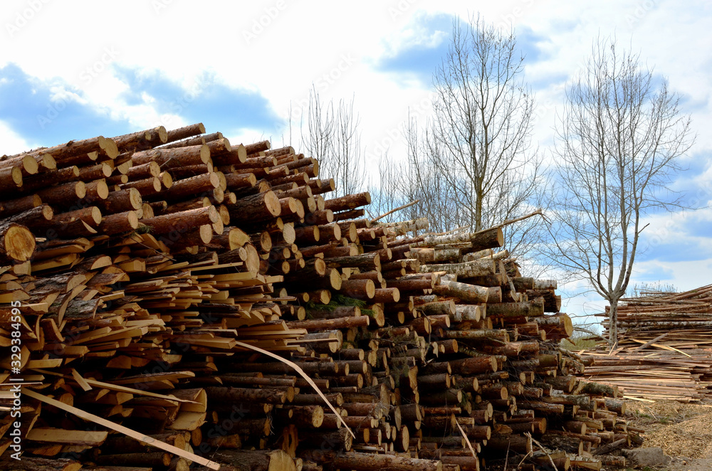 Logs stacked on logging and woodworking industry. A stock pile of timber, chopped down trees. Timber industry. De-forestation. Logs stacked on logging and woodworking industry. A stock pile of timber, chopped down trees. Timber industry. De-forestation.