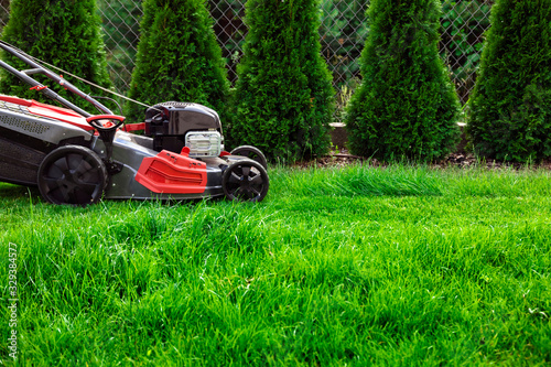 Lawn mower cutting green grass in backyard  mowing lawn