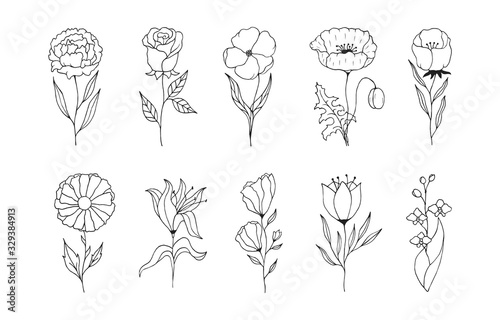 Set of design flowers. Decoration elements for wedding. Vector isolated spring poppy, rose, lily.
