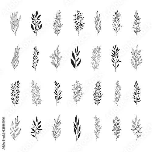 Set of floral branches and herbs silhouettes. Elegant rustic elements for wedding. Vector isolated spring flourish borders.